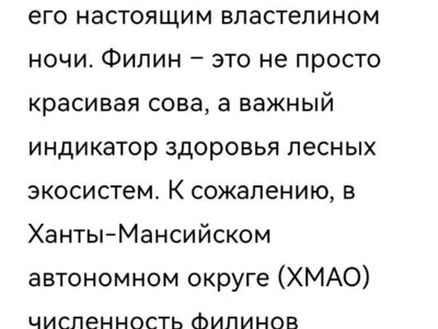 Юннаты познакомились с живущими в нашем зоопарке филинами и сделали для родителей поделки Филин на ветке