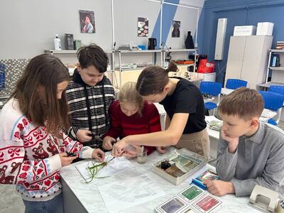 Изучали корни растений и их строение